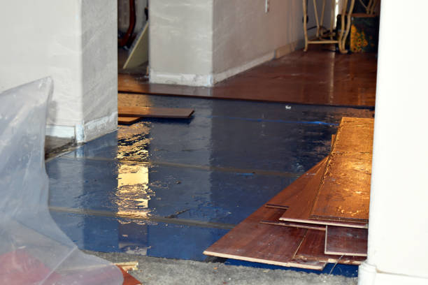 Professional Water Extraction technician working in Carleton, MI